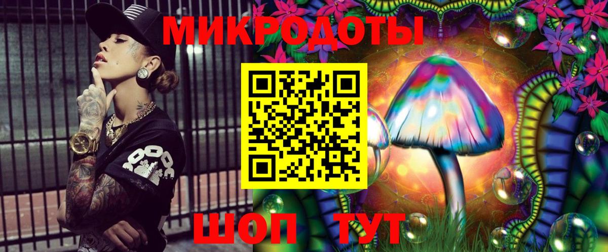Псилоцибиновые грибы Psilocybe Краснознаменск